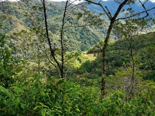 Finca en Purisil, Orosi, Costa Rica. Incomparable en Orosi, Paraíso, Cartago — $4,950,000 - Foto 4 de 8