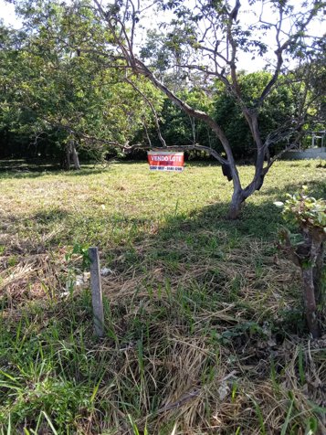 Gran oportunidad de venta de terreno en Cahuita en Cahuita, Talamanca, Limón — $180,000 - Foto 2 de 2