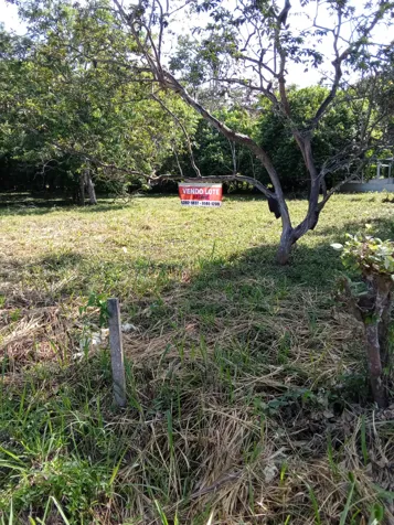 Gran oportunidad de venta de terreno en Cahuita en Cahuita, Talamanca, Limón — $180,000 - Foto 2 de 2