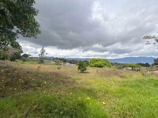VENTA DE LOTE DE 36.141 m² EN EL CARMEN DE GOICOECHEA