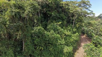 TERRENO LISTO PARA CONSTRUIR CON BOSQUE Y ARROYO CERCA DEL CHIRRIPO en Rivas, Pérez Zeledón, San José — $250,000 - Foto 2 de 8
