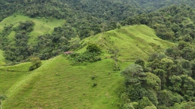 BEAUTIFUL LAND FOR SALE: 30 HECTARES IN BARÚ, PÉREZ ZELEDÓN WITH WATERFALL en Barú, Pérez Zeledón, San José — $250,000