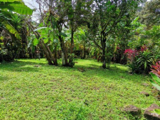 MLS-22-804 VENTA LOTE OSA PUNTARENAS in Bahía Ballena, Osa, Puntarenas — $52,000