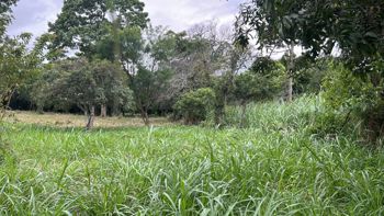 VENTA TERRENO DESARROLLO ALTA DENSIDAD, ESCAZU, SAN RAFAEL in San Rafael, Escazú, San José — $1,600,000 - Photo 5 of 10