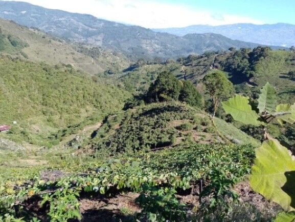 Venta de Finca en El Guarco de Cartago. in San Isidro, El Guarco, Cartago — ₡ 120 000 000