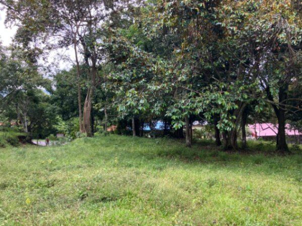 ATENCIÓN INVERSIONISTAS : ESPECTACULAR FINCA EN ATENAS, ALAJUELA.  in Atenas, Alajuela — $1,000,000