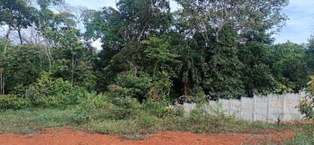 ¿Quieres adquirir una propiedad con un potencial increíble?  in Daniel Flores, Pérez Zeledón, San José — ₡ 95 000 000