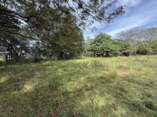 Terrenos Comerciales en Venta – Villa Real, Guanacaste en Tamarindo, Santa Cruz, Guanacaste — $206,000 - Foto 5 de 10
