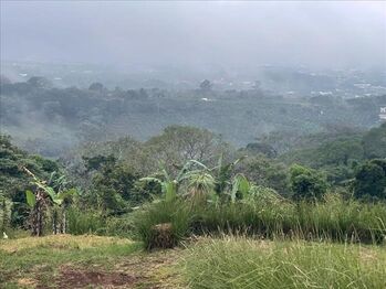 Farm For Sale San Pedro, Poás, Alajuela