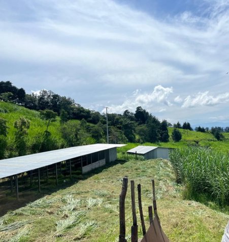 VENTA - FINCAS DE 49 HA EN POAS - FINANCIAMIENTO DIRECTO CON EL 30% DE PRIMA in San Pedro, Poás, Alajuela — $2,400,000