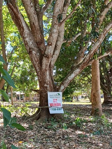 Terreno en venta en Coyolar de Orotina, Alajuela in Coyolar, Orotina, Alajuela — ₡ 98 000 000