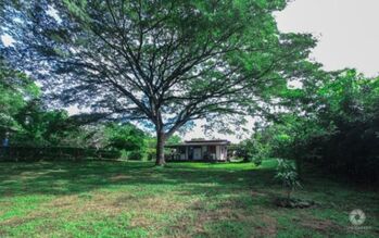 Venta de Lote con Casa en Garabito, Puntarenas.  in Tárcoles, Garabito, Puntarenas — 65 000 000 ₡ - Photo 4 of 10