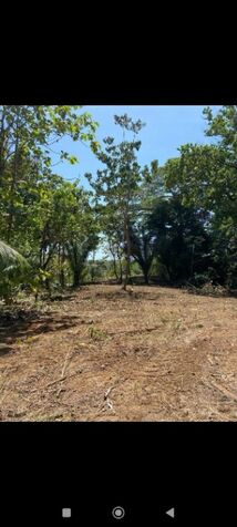 Excelente terreno para desarrollo  in Parrita, Puntarenas — ₡ 276 989 500