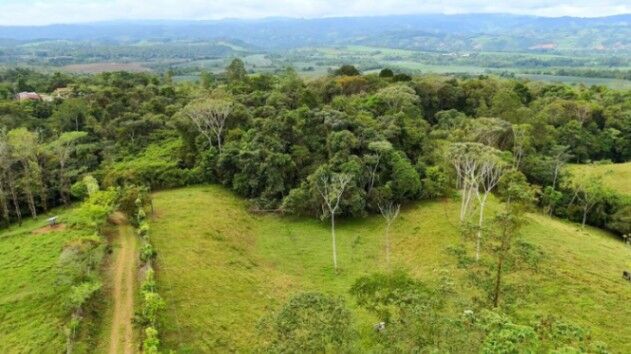 BEAUTIFUL LAND FOR SALE IN THE HEART OF SAN FRANCISCO DE CAJON, 96 ACRES en Cajón, Pérez Zeledón, San José — $900,000