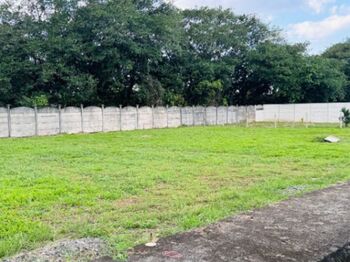 Terreno a la venta en Palma Dorada, Guápiles en Guápiles, Pococí, Limón — 15 000 000 ₡ - Foto 5 de 12