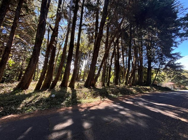 Venta de lote en El Tirol, Bosques del Monte, San Rafael de Heredia en San Rafael, Heredia — $200,000
