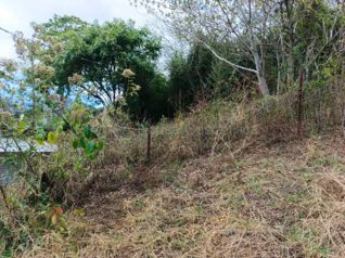 Sale of 2,145 m² lot with double access in Carrizal de Escazú #26-1895 GS - Photo 3 of 3