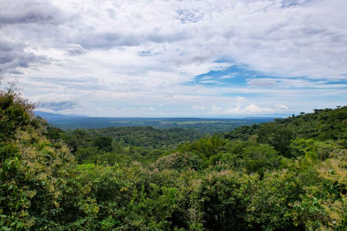 House for sale in San Mateo with ocean view in San Mateo, Alajuela — $335,000 - Photo 2 of 35