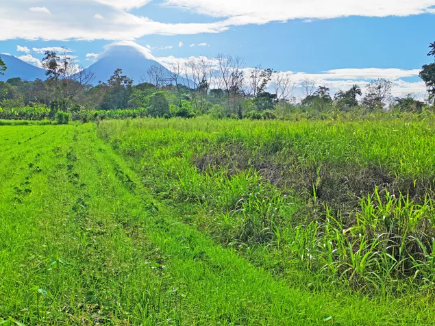 Propiedad para inversión en La Fortuna en La Fortuna, San Carlos, Alajuela — $450,000 - Foto 3 de 29