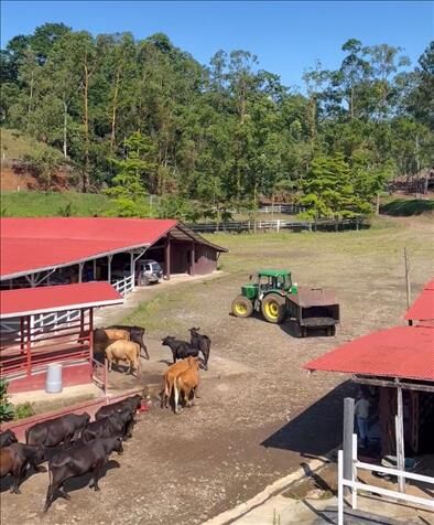 VENTA DE FINCA GANADERA, CARTAGO, TURRIALBA en Tres Equis, Turrialba, Cartago — $4,500,000