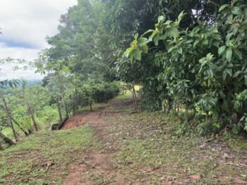VENDO AMPLIO LOTE EN ACOSTE-PARRITA DE SAN  JOSÉ. in Palmichal, Acosta, San José — $400,000 - Photo 3 of 9