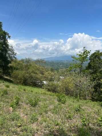 DE OPORTUNIDAD ESPECTACULAR FINCA EN ATENAS, ALAJUELA.  en Atenas, Alajuela — ₡ 45 000 000