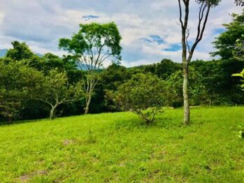 Venta de hermoso terreno en Ciudad Colón. en Colón, Mora, San José — $440,000 - Foto 4 de 16