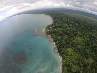 Se vende propiedad frente a playa en Punta Mona, Caribe, Limón (AD) in Sixaola, Talamanca, Limón — $6,600,000 - Photo 3 of 30