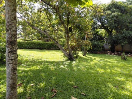 MLS-26-257 LS VENTA LOTE LA CEIBA OROTINA  in La Ceiba, Orotina, Alajuela — ₡ 30 000 000