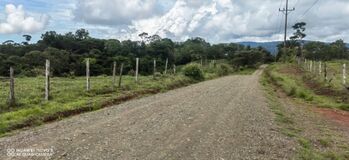 Farm For Sale Sierpe, Osa, Puntarenas