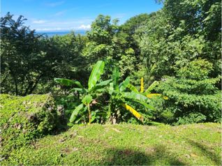 Lote en venta Nativa Resort en Tárcoles, Garabito, Puntarenas — $150,000 - Foto 4 de 8