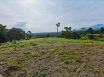 Venta 1 Hectárea in Las Horquetas, Sarapiquí, Heredia — 45 000 000 ₡ - Photo 5 of 6