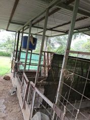 Oportunidad Especial de Venta, Artieda de Esparza, terreno de 44.000.000 millones de 2.972 metros cu in Espíritu Santo, Esparza, Puntarenas — $44,000,000 - Photo 4 of 10