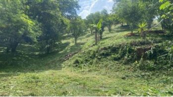 SE VENDE BELLA PROPIEDAD EN BARRIO SAN JOSÉ, ATENAS.  en San José, Atenas, Alajuela — 73 000 000 ₡ - Foto 4 de 6