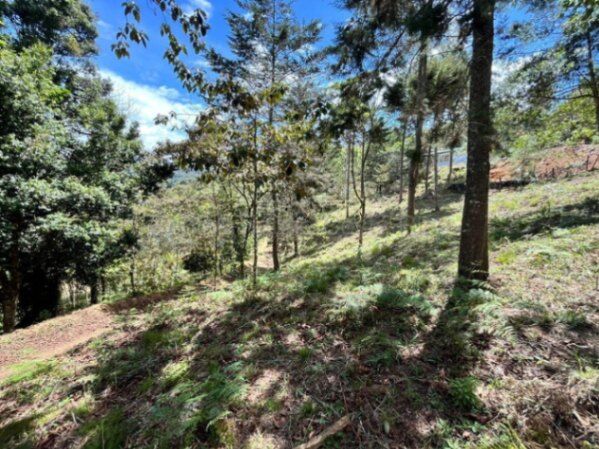 Venta de Lote en El Guarco-San Isidro. RAH 26-1829 PRECIO REBAJADO en San Isidro, El Guarco, Cartago — ₡ 100 000 000