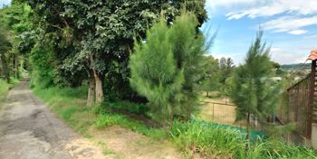 Hermoso lote - Paralela RUTA 32 LOTE # 3 in San Miguel, Santo Domingo, Heredia — $352,330 - Photo 4 of 5