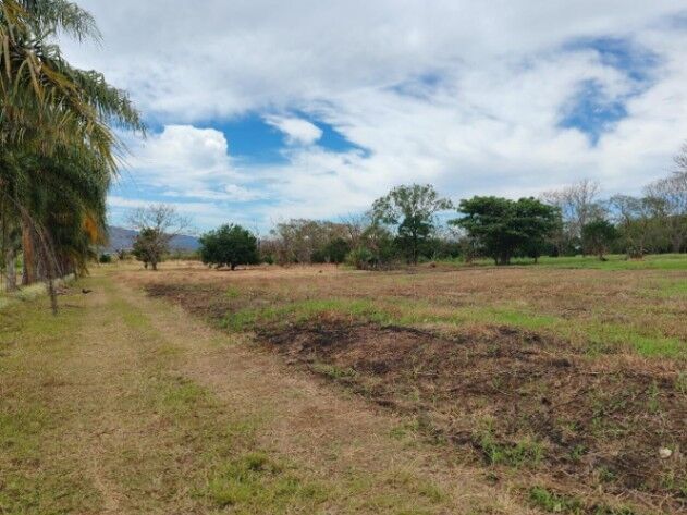 VENTA DE LOTE IDEAL PARA CONSTRUIR UN CONDOMINIO A 8KM DEL AEROPUERTO JUAN SANTA MARÍA. ALAJUELA. in Desamparados, Alajuela — $10,835,000