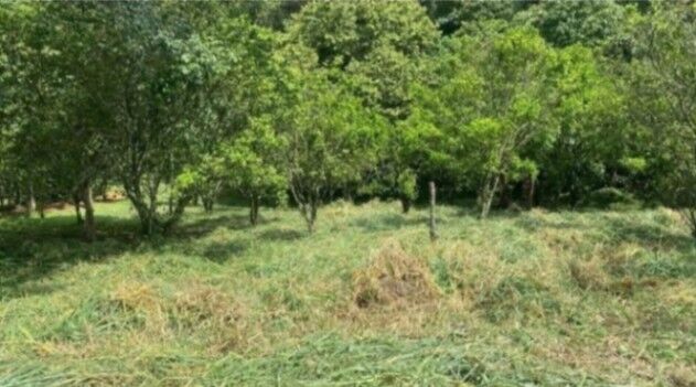 SE VENDE BELLA PROPIEDAD EN BARRIO SAN JOSÉ, ATENAS.  en San José, Atenas, Alajuela — ₡ 73 000 000