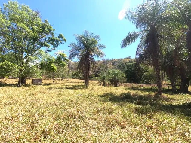 FINCA BARROETA - A 16-Hectare Estate (161,799 m²) in Atenas, Alajuela — $875,000 - Photo 3 of 24