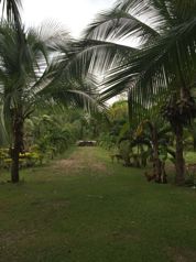Terreno Único a 100m del Mar ❌  $1,450,000 ➝ Ahora ✔🔥  $1,300,000