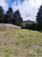 Exclusive Estates in San Juan de Poás – 2,000 m² for Only $85/m² en San Pedro, Poás, Alajuela — $171,000 - Foto 5 de 8