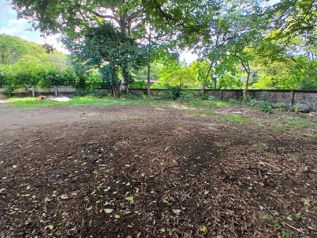 Venta de Lote en Santa Cruz-27 de Abril. RAH 26-2208 in Veintisiete De Abril, Santa Cruz, Guanacaste — 16 500 000 ₡ - Photo 4 of 10