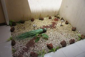Alquiler de Apartamento en La Unión, Cartago. RAH 26-80 en San Juan, La Unión, Cartago — 420 000 ₡ - Foto 5 de 14