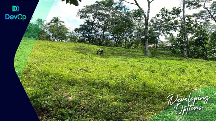 Venta de quinta en Peje Viejo, Florencia. San Carlos. en Florencia, San Carlos, Alajuela — ₡ 90 000 000