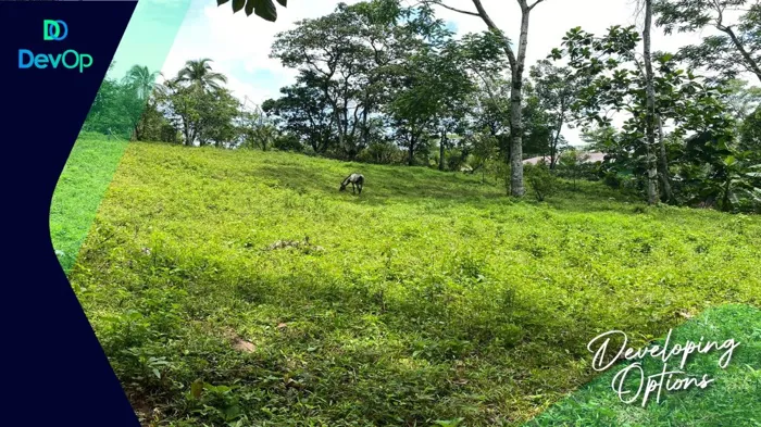 Venta de quinta en Peje Viejo, Florencia. San Carlos. in Florencia, San Carlos, Alajuela — ₡ 90 000 000