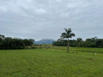 Lotes con Vista al Volcán y Con Bosque, Río en La Fortuna en La Fortuna, San Carlos, Alajuela — 63 100 000 ₡ - Foto 5 de 6