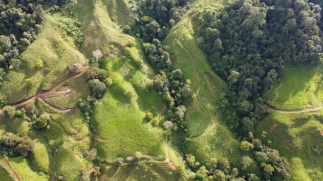 VENTA DE FINCA EN SAN MARCOS DE BARÚ, PÉREZ ZELEDÓN en Barú, Pérez Zeledón, San José — $432,000