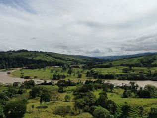 THE LIVESTOCK AND AGRICULTURE FARMERS in Cajón, Pérez Zeledón, San José — $4,000,000 - Photo 2 of 20