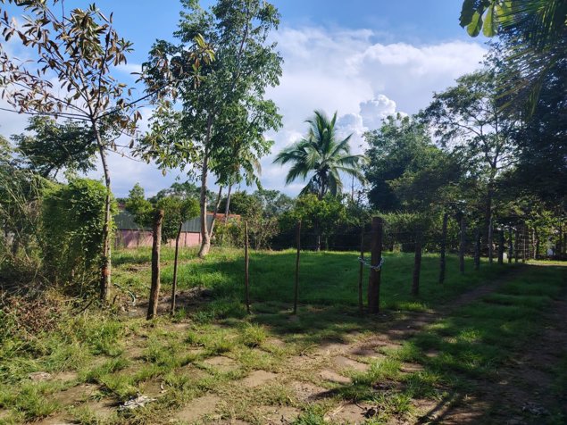 Lote plano de 632 m² para construcción - Concepción, Atenas en Concepción, Atenas, Alajuela — ₡ 39 000 000 - Foto 3 de 19