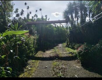Se vende quinta en cabuyal de San Juan norte en San Juan, Poás, Alajuela — 300 000 000 ₡ - Foto 5 de 12